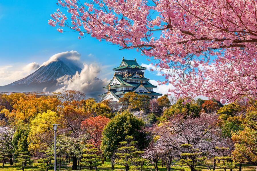 Japão em Luxo