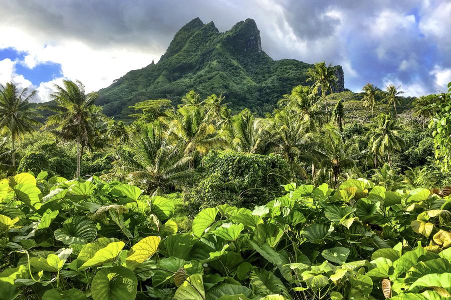Raiatea